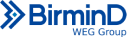 logo_birmind - Diego Mariano (1) 1